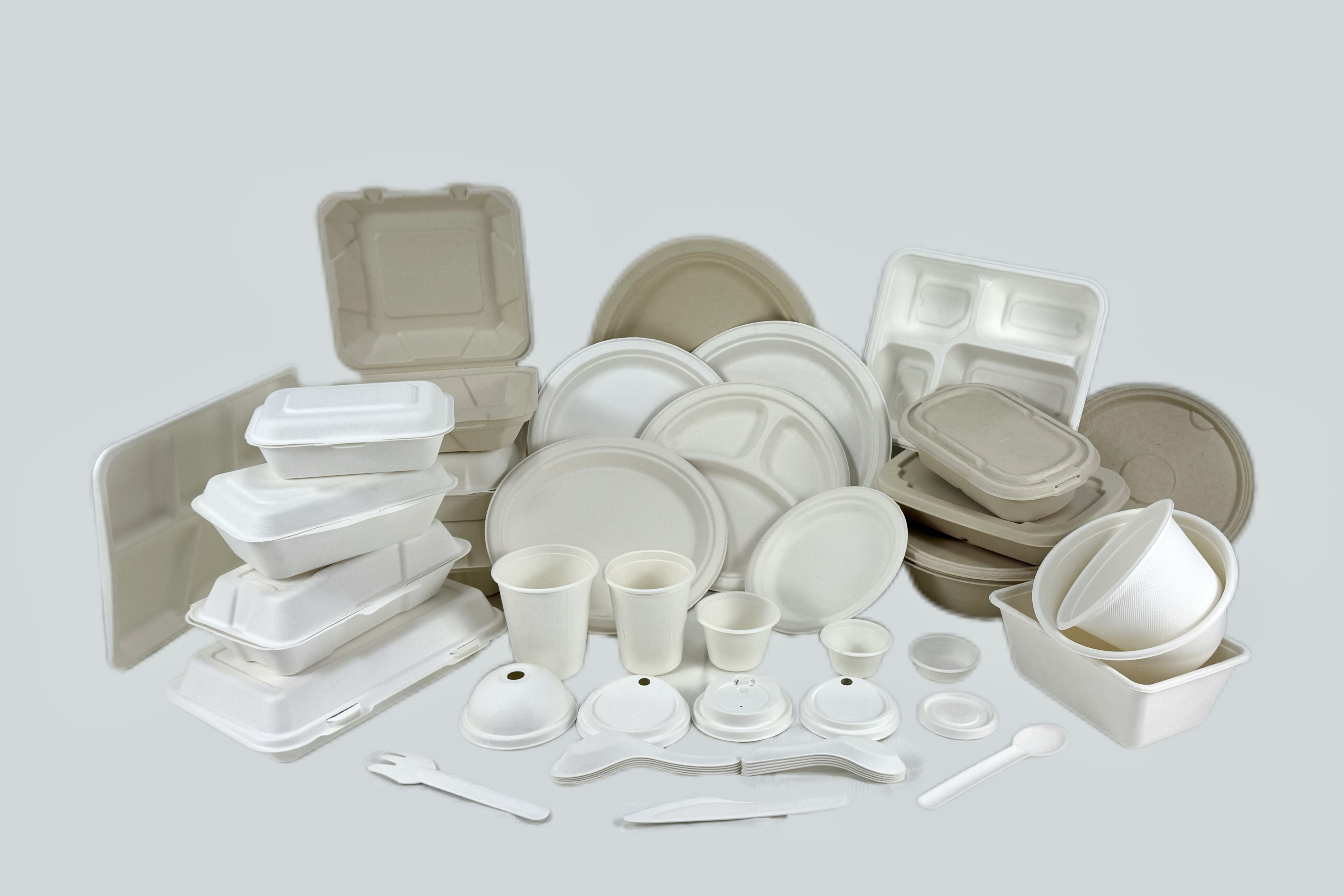 Biodegradable Cutlery Composable PLA Airline Dispos Plastiable Biodegradablec Cutlery