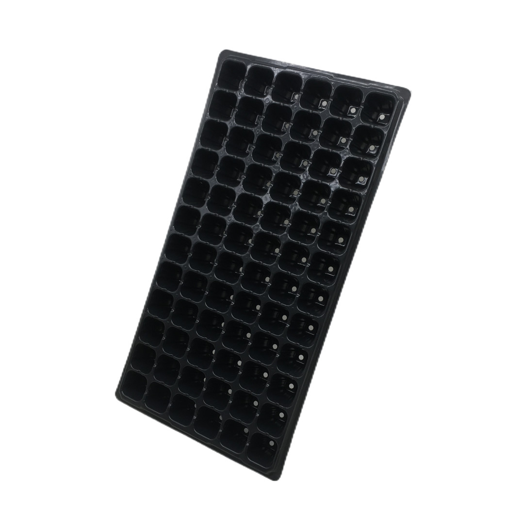 72 Cells Nursery Tray Plastic Seedling Tray Mango Plant Strawberry Seedling Trays