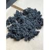 Buy cheap Expandable Graphite F.C 99%min For Flame Retardants from wholesalers