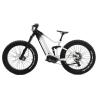 Buy cheap Alloy Suspension Frame Fat Tire Bike , Pedal Assist Fat Bike Mid Drive Motor from wholesalers