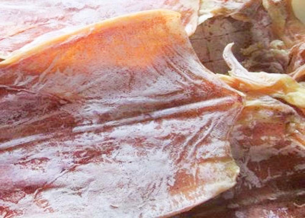 Delicious Healthy Squid Todarodes Pacificus
