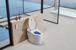 Air Dry Functional Modern Smart Toilet , Siphonic Self Heating Toilet Seat