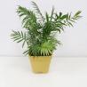 Buy cheap Multi Functional Silicone Flower Pot Eco Friendly With Customized Logo from wholesalers