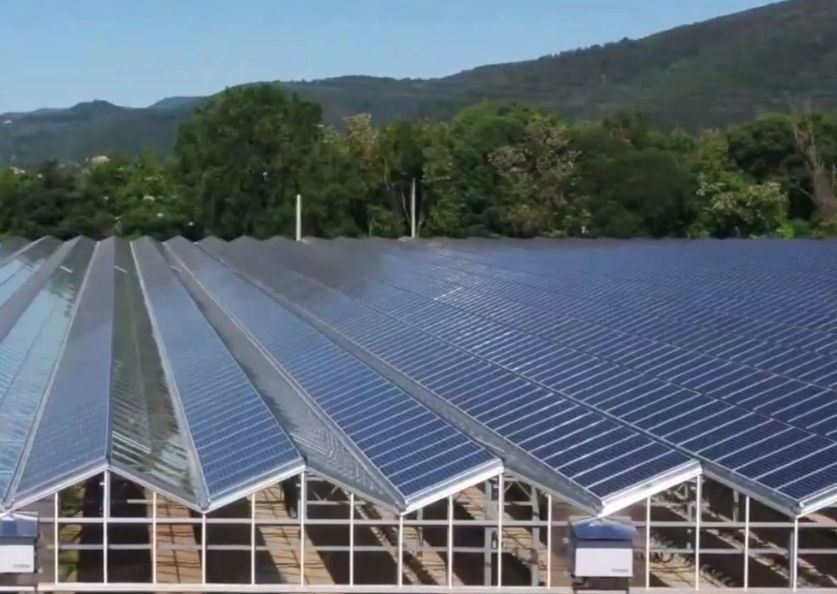 Heat Storage Device Heat Preservation Photovoltaic Greenhouses