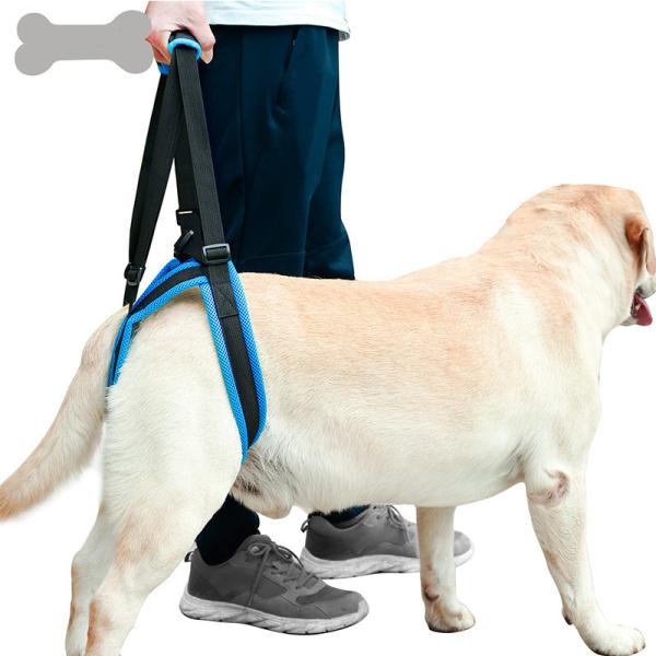 Nylon Pet Leg Support Belt Rear Leg Disability Injury High Aged Dog Stair
