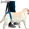 Buy cheap Auxiliary Belt Leg Support Pet Harness Leash For Disability Injury High Aged Dog from wholesalers