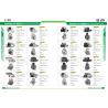 Buy cheap 12V 9T Excavator Starter Yacht Motor 22253 5769N 508303081 50830308T 50859169T 50888151T 50893886T 65W8180000 50893886T from wholesalers
