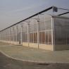 Buy cheap Origin Eco Greenhouse System with Film Cover Material 20.000kg Package Gross Weight from wholesalers