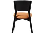 Fashion Wood And Upholstered Dining Chairs Restaurant Modern