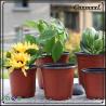 Buy cheap Professional plant pots flower pot with high quality from wholesalers