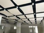 Installation Fiberglass Ceiling Board for Office Shopping Center Bars Concealed