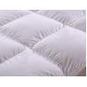 Buy cheap Eco-Friendly Cotton Plain Soft Bedding Fabric Home Textile Fabric 40*40 133*100 from wholesalers
