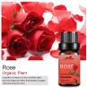 Buy cheap 10ml 100% Organic Natural Rose Essential Oil Body Massage SPA Aroma OEM MSDS from wholesalers