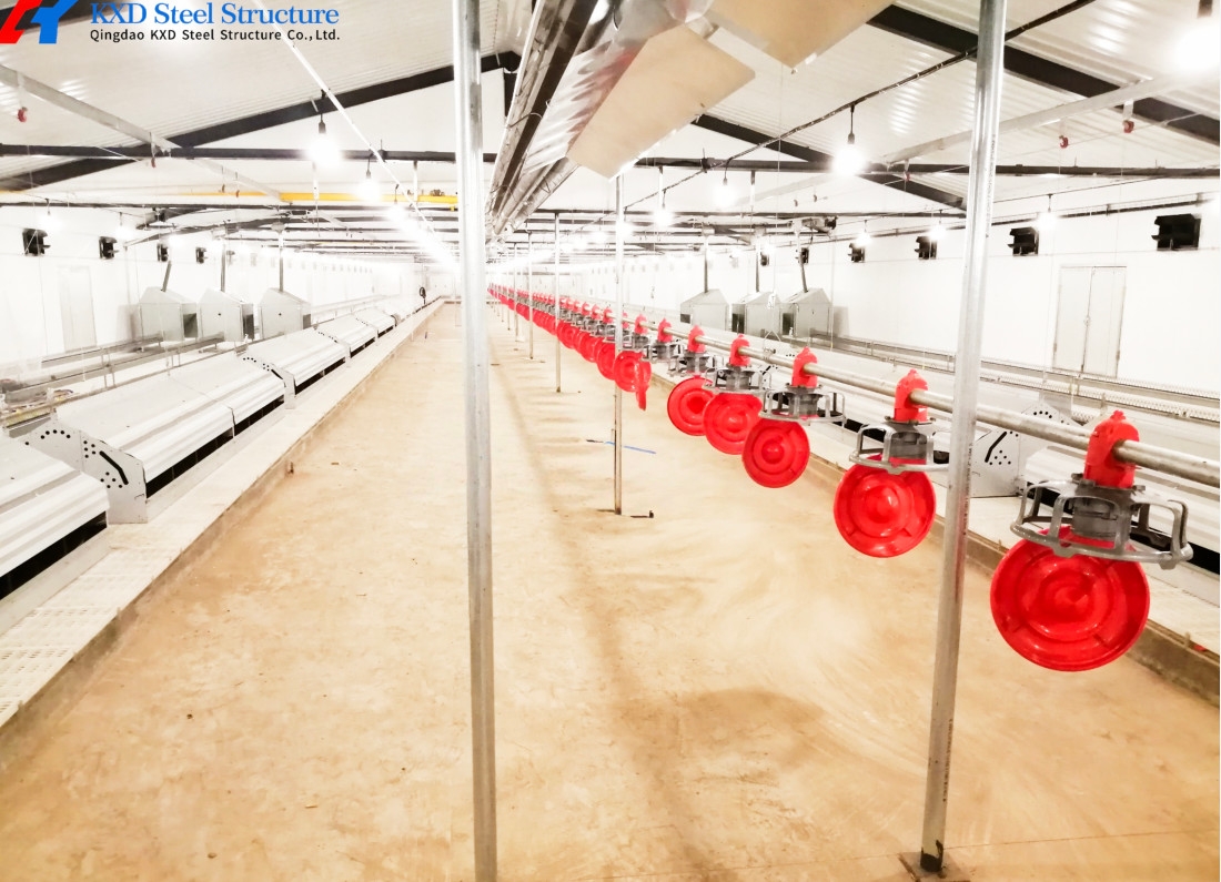 Q345 Q235 Steel Poultry House Onsite Installation With Automatic Equipment