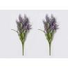Buy cheap 50cm 60cm Preserved Fresh Flower Dry Lavender Bunches OEM from wholesalers