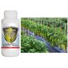 Buy cheap Pink Worm on Cotton Pesticide Natural Cotton Organic Biological Pesticide Against Cotton Boll Worm from wholesalers