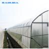 Buy cheap 150micron 200 micro PE Film Agricultural Greenhouse For Vegetable Fruit Growing from wholesalers