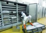Hydraulic Plate Freezer for Shrimp/Contact Plate Freezer/Fish Food Quick