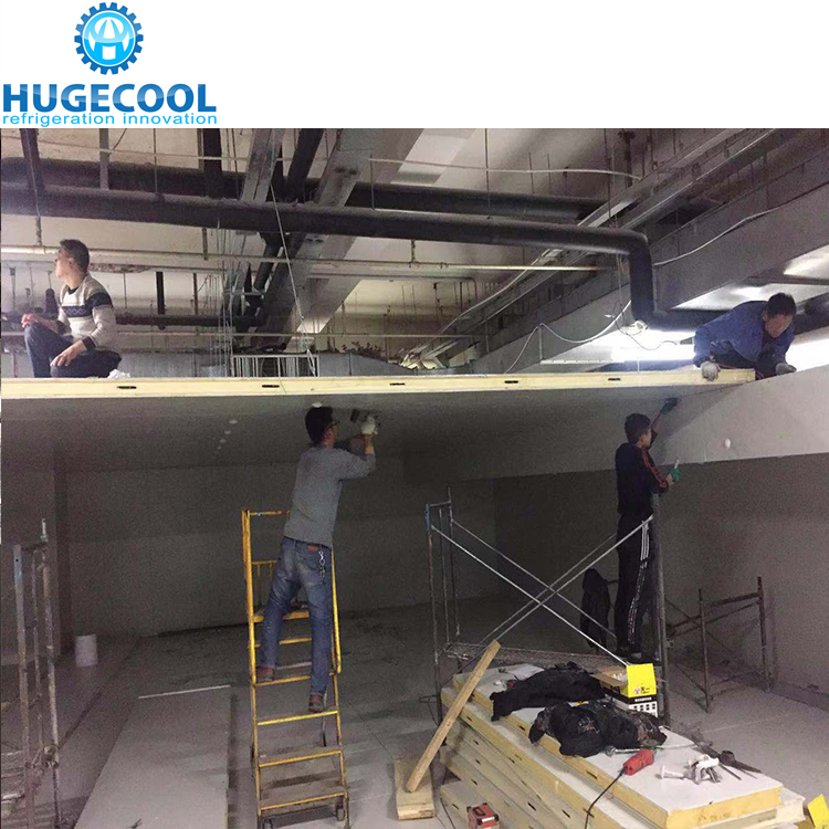 Prefabricated cold room for fruit for fish meat seafood