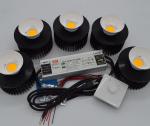 Buy cheap High Efficiency 250W Grow Lights For Indoor Plants with Vero29 COB Led Flowering from wholesalers