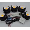 Buy cheap High Efficiency 250W Grow Lights For Indoor Plants with Vero29 COB Led Flowering Grow Lights from wholesalers