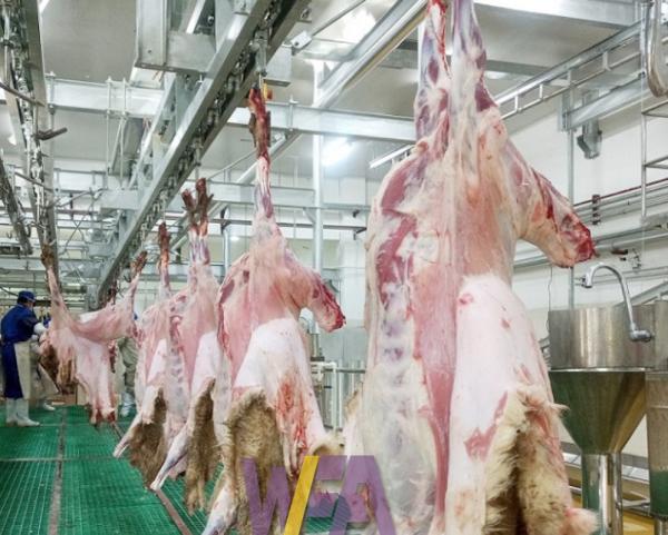 Buy cheap Stainless Steel 304 Slaughterhouse Cow Machine Polyurethane Rubber Hair Plucking Fingers from wholesalers