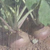 Buy cheap Anti - Aphids Insect Mesh Netting 50*25 Mesh 100% HDPE Materials product