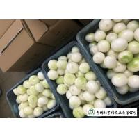 Buy cheap Natural Fresh Onions , Fresh White Onion Suitable Dry Storage Environment product
