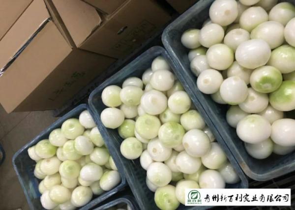 Buy cheap Natural Fresh Onions , Fresh White Onion Suitable Dry Storage Environment from wholesalers