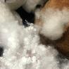 Buy cheap 64mm Length Solid Polyester Staple Fiber For Filling Mattress / Sofa / Toy from wholesalers