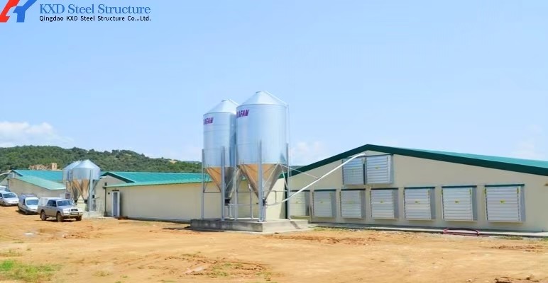 Broiler Poultry Prefab Houses Steel Structure Fully Automated Chicken Farming Equipment