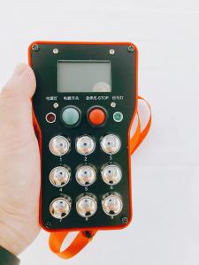 Wholesale Electric Hoist Industrial Remote Control from china suppliers