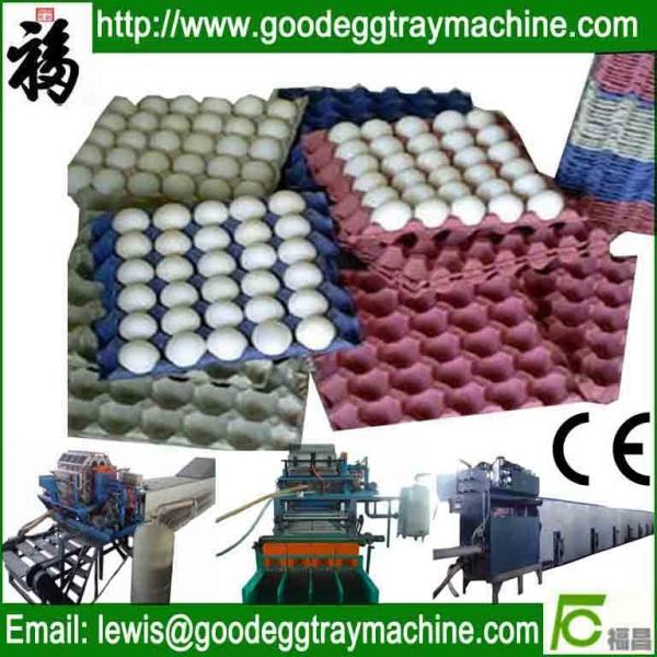 Buy cheap Paper Egg Holder making machinery(FC-ZMG6-48) from wholesalers