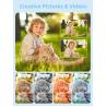 Buy cheap 32GB SD Card 1080P Digital Camera Anti Shake Portable Compact Point And Shoot Camera from wholesalers