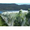 Buy cheap Anti-Hail Plant Protection Netting White Fabric , High Density Polyethylene from wholesalers