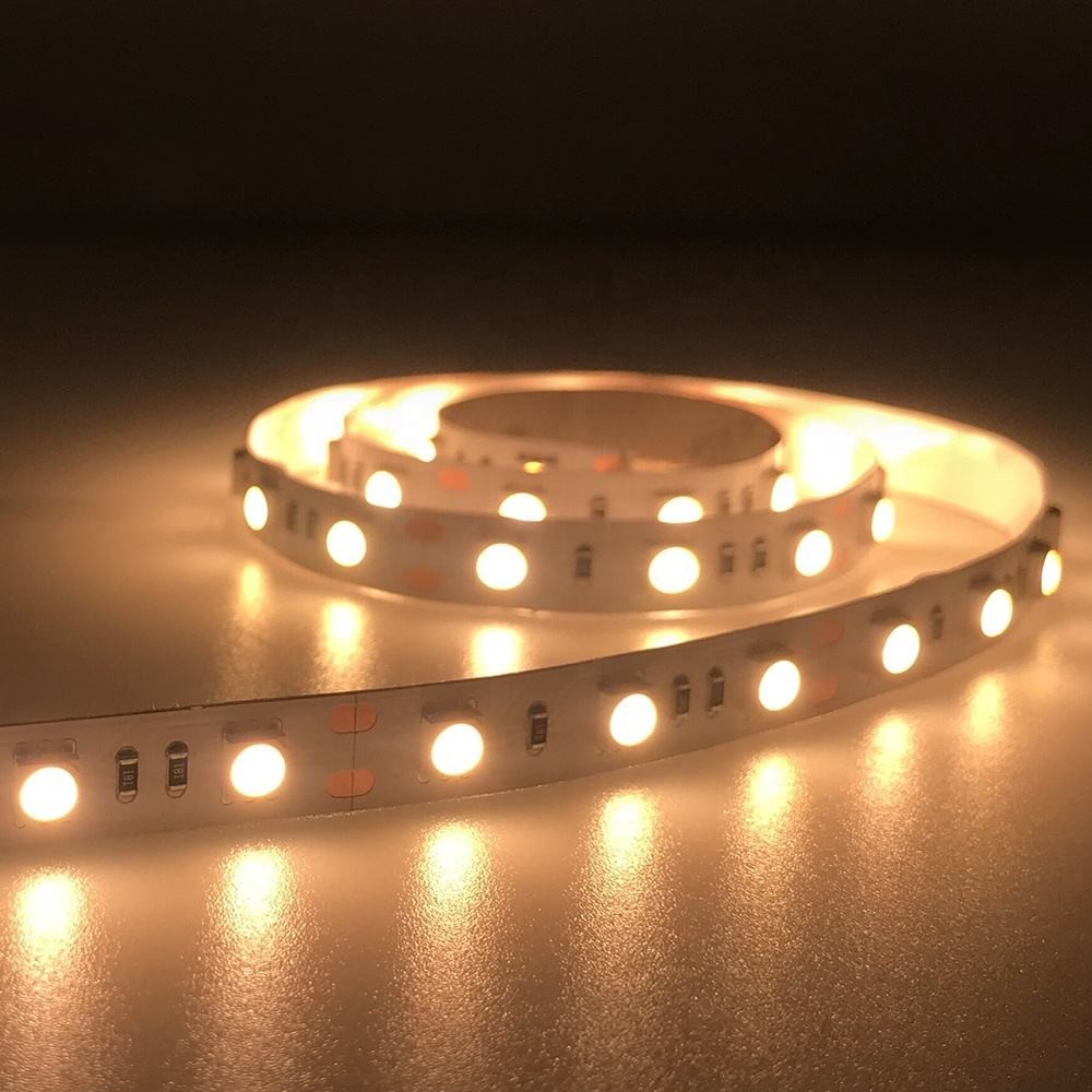 12v 5050 LED Strip Waterproof Ip65 Led Flex Strip 5M White Red Blue