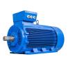 Buy cheap 3 Phase Squirrel Induction Motor Double Cage from wholesalers