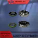 T05-20mm Flygt Mechanical Seal High Pressure Unbalanced