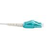 Buy cheap CATV / LAN / WAN Test Duplex MTRJ Female Patch Cord SC LC Fiber Optic Cable from wholesalers
