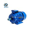 22kW 30HP Gost Standard Motor Three Phase Induction Asynchronous Motor