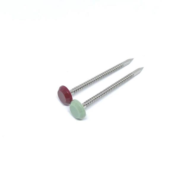 Buy cheap 316 Stainless Steel Annular Ring Shank Plastic Head Nails For Fasia And Soffit from wholesalers