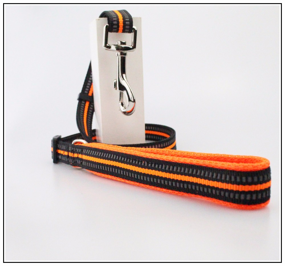Protection Easy Walking Nylon Reflective Dog Leash For Training Eco Friendly