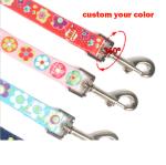 Fashionable Nylon Buckle Dog Collar S M L Breakaway Cat Collars Customized