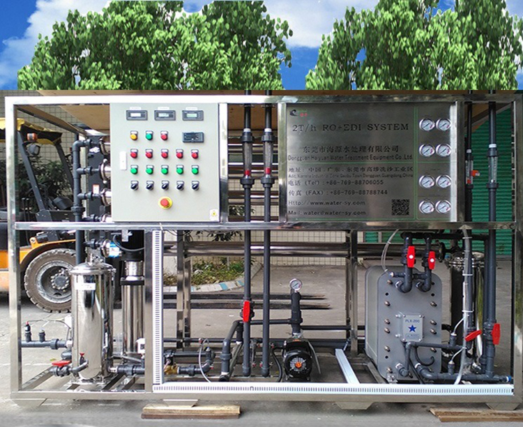 PLC EDI Plant Water Treatment , CNP Pump EDI Purified Water System