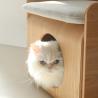 Buy cheap Nordic Wood Pet Furniture Wooden Cat Bed Box Stocked 40*40*50cm from wholesalers