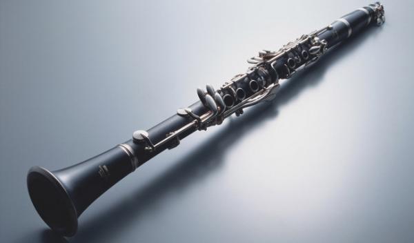 Buy cheap constansa instrumentProfessional Performance Level Ebony Wood Silver Plated 18 Keys 4 Rings G Tone German Style Clarinet from wholesalers