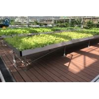 Buy cheap Agricultural Ebb Flood Rolling Bench Indoor Farming Grow Tables For Greenhouse product