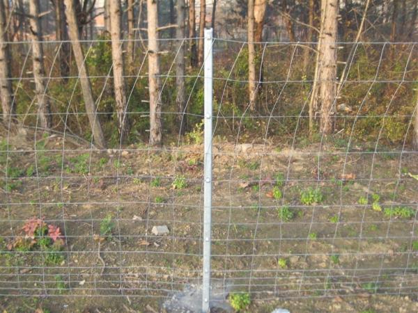 Buy cheap HGMT 1.8m Field Livestock Fence Panels For Deer from wholesalers