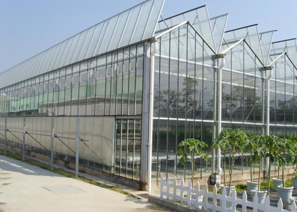 Buy cheap Agricultural Glass Greenhouse For Tomato Lettuce And Strawberry Growing from wholesalers