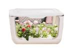 Vegetables Crops LED NFT Indoor Hydroponic Systems